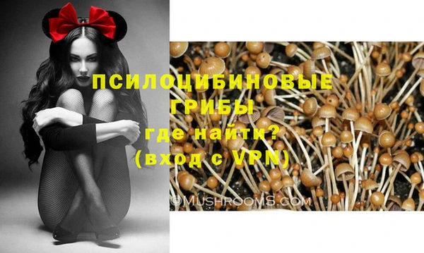 бошки Михайловка